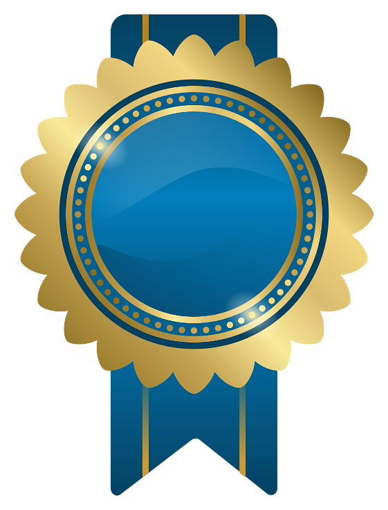 Bronze Sponsor