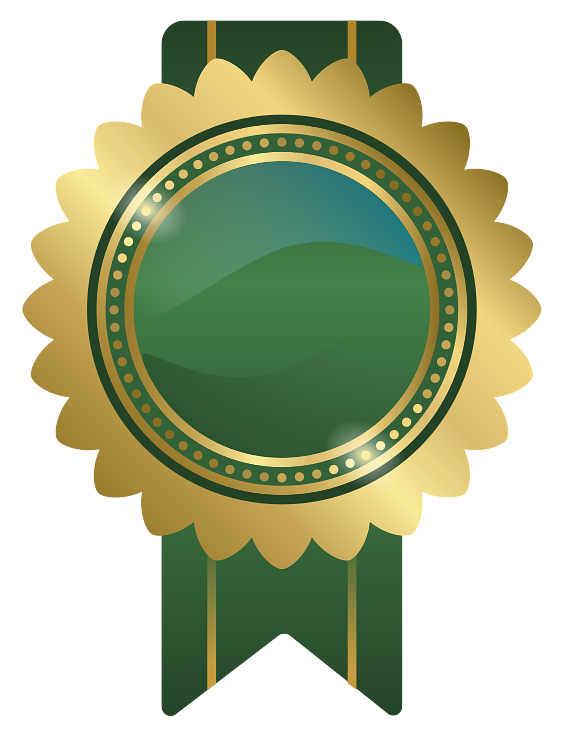 Silver Sponsor
