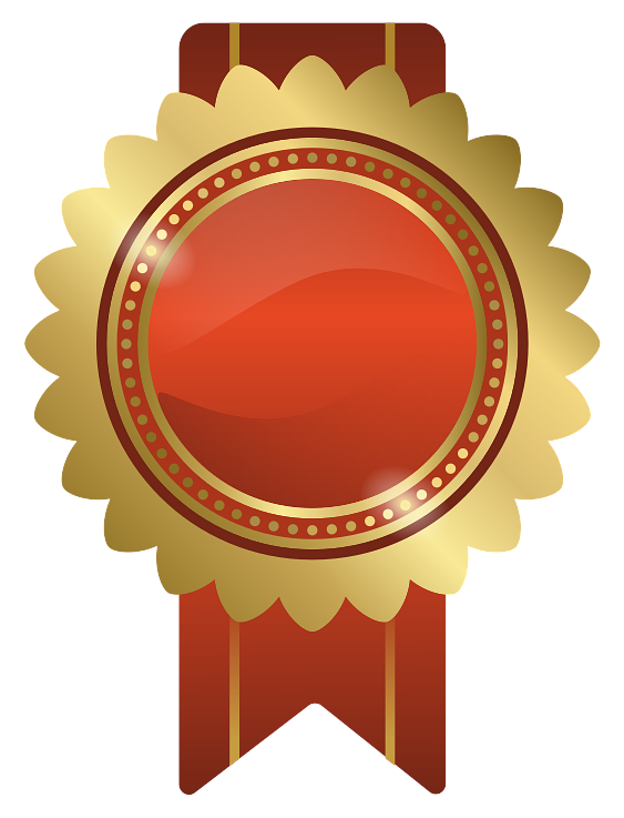 Gold Sponsor